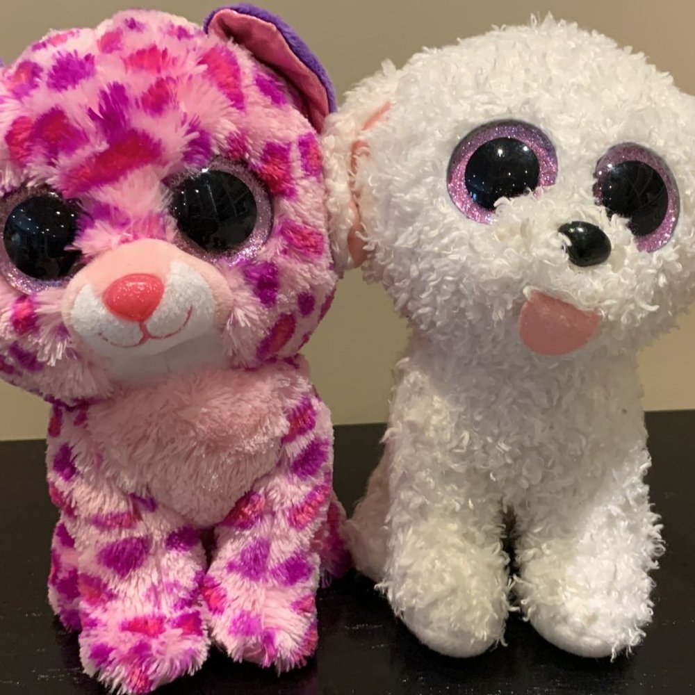 Beanie Boo bundle